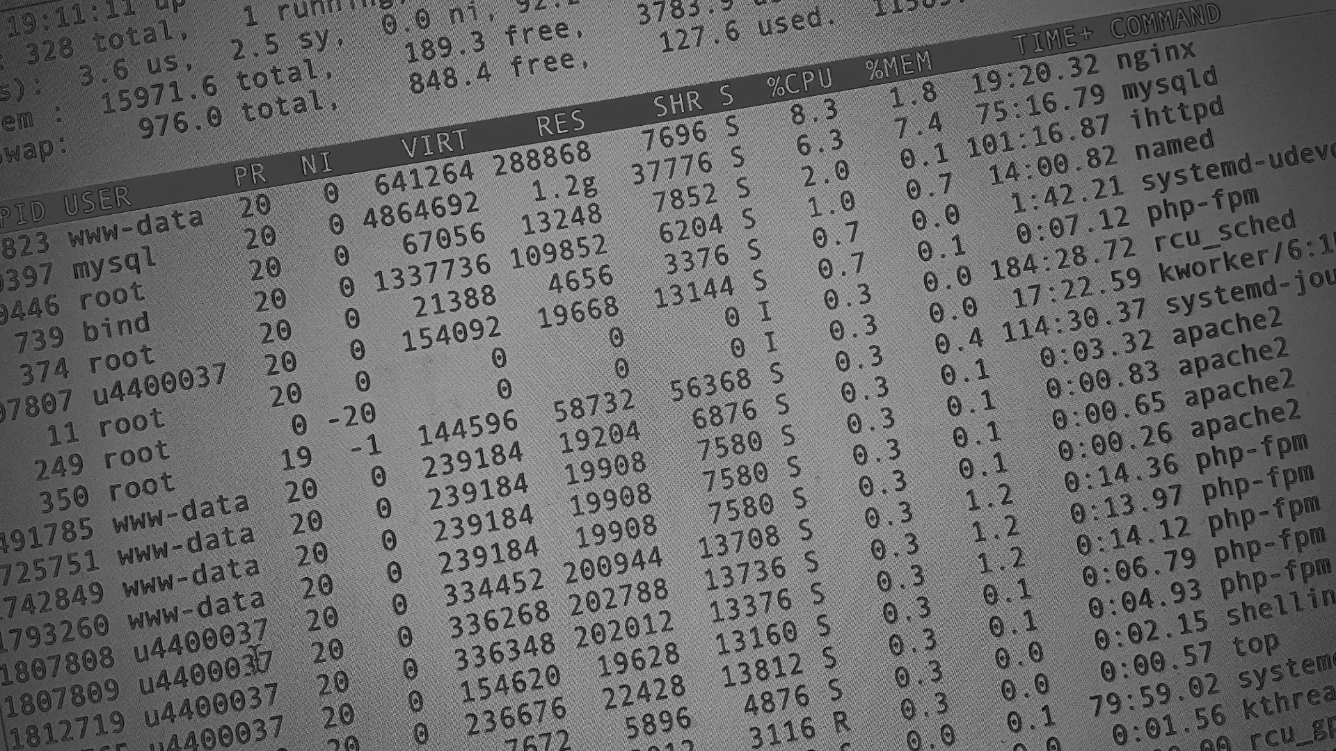 Настройка сервера в Кизеле