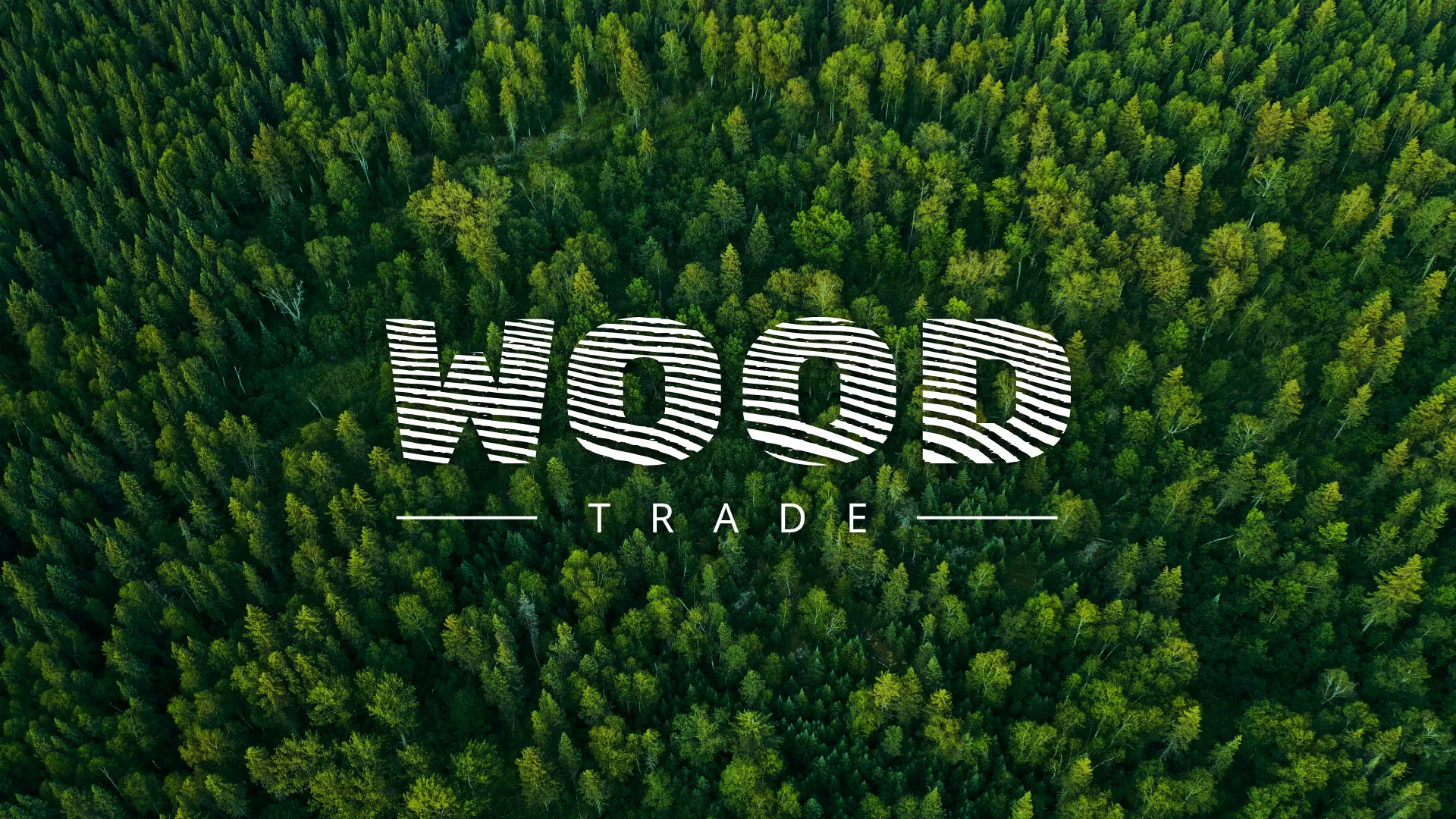 Разработка интернет-магазина компании «Wood Trade» в Кизеле