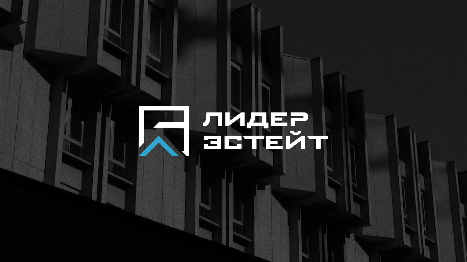 Разработка логотипа агентства недвижимости «Лидер Эстейт» в Кизеле